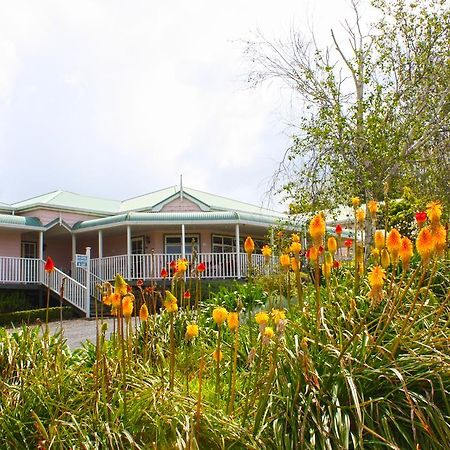 Bed and Breakfast Matakohe House Екстер'єр фото
